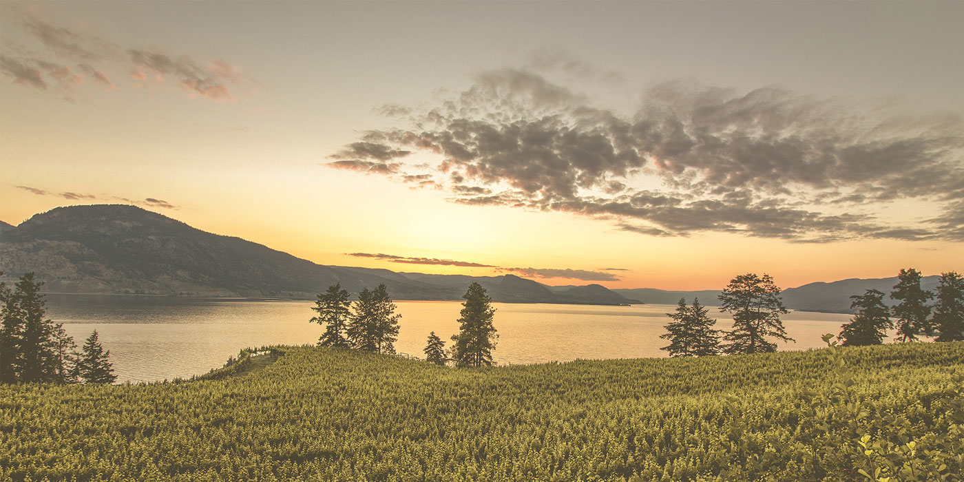 Green Mountain Health Alliance Ltd. Canada’s First Cannabis Crowdfunding Campaign Open To All Blows Through Target