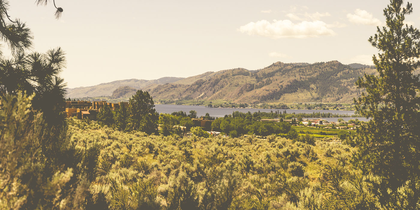 Green Mountain Gains GACP Certification, Paving the Way for International Export of Medical Cannabis.