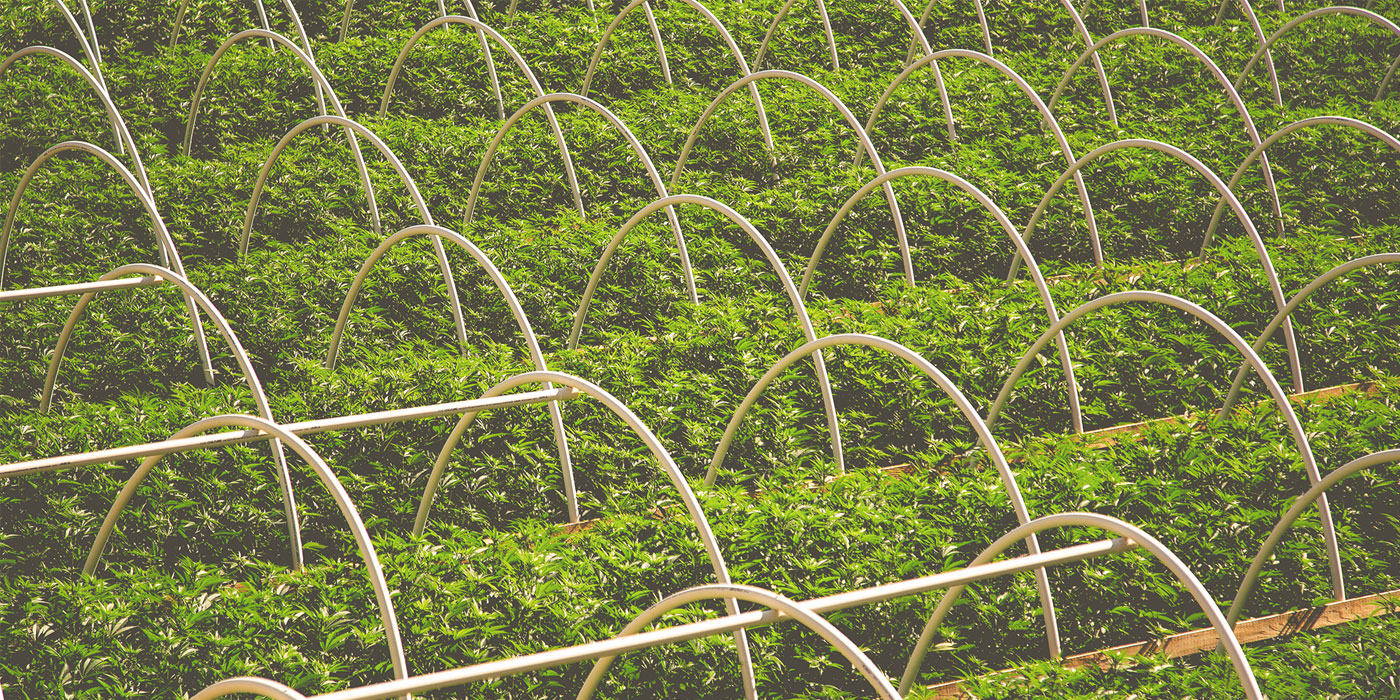 Green Mountain Health Alliance Ltd. to Present at the Planet MicroCap Showcase 2018 on April 25 in Las Vegas, NV